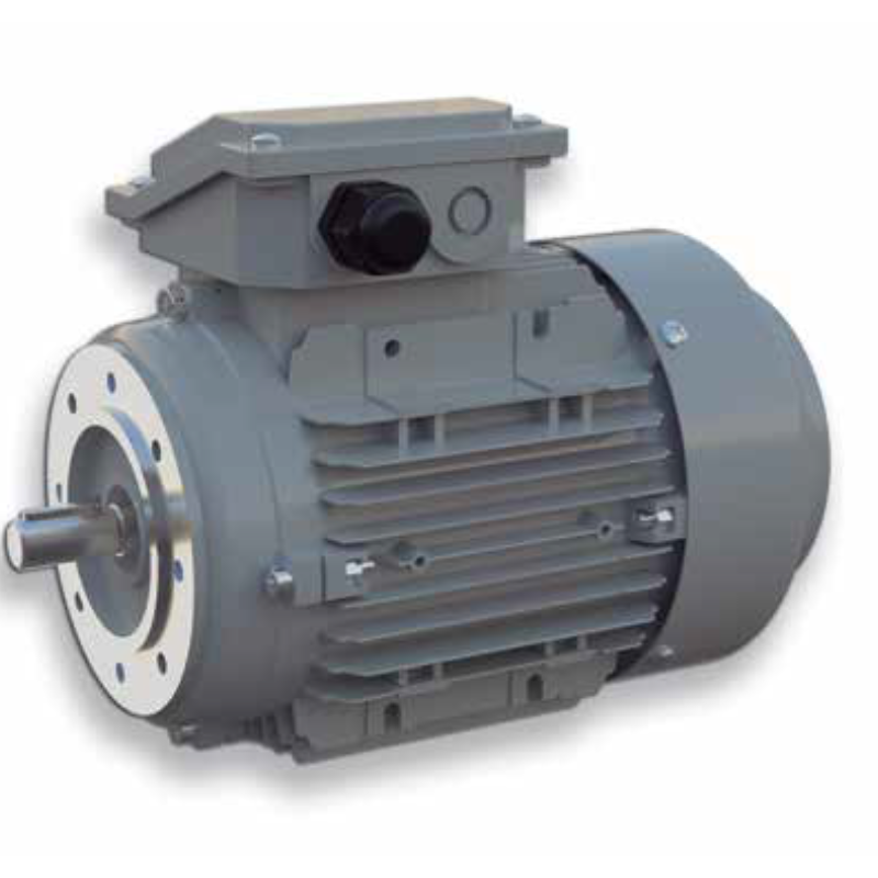 Motores elétricos IBR